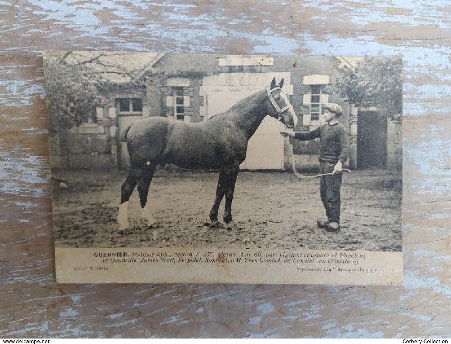 CPA Cheval Guerrier Trotteur Record à Landivisiau Finistère Bretagne / SP23