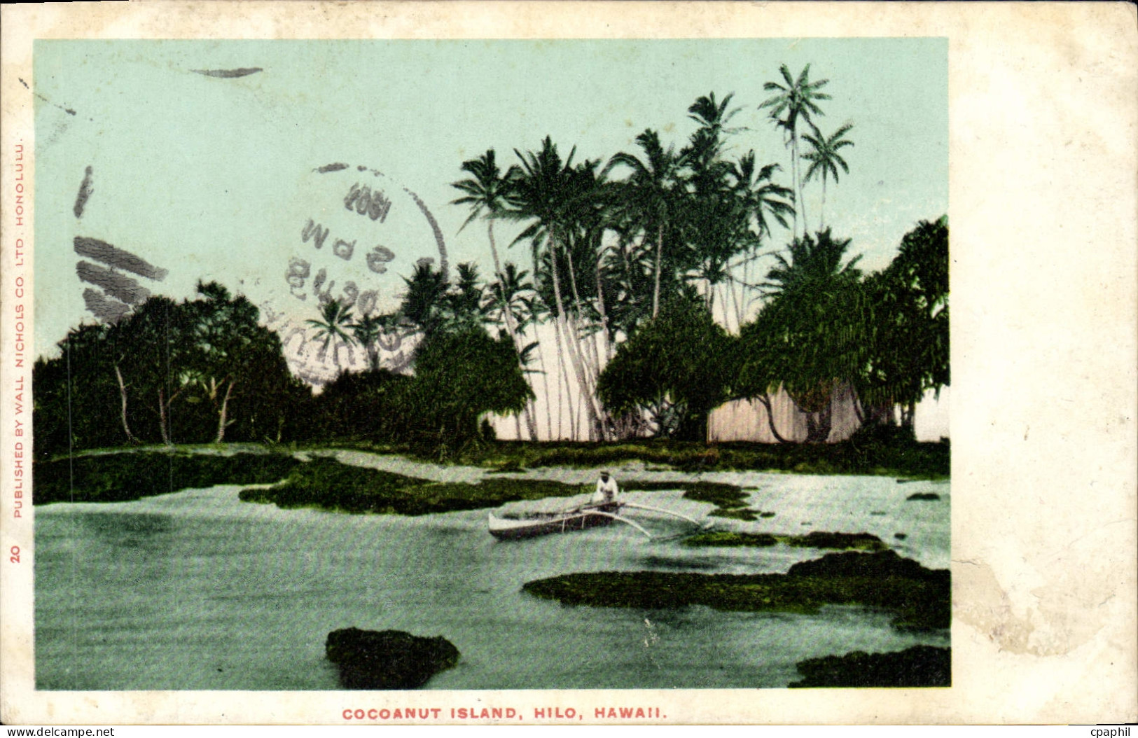 CPA Cocoanut island Hilo Hawai