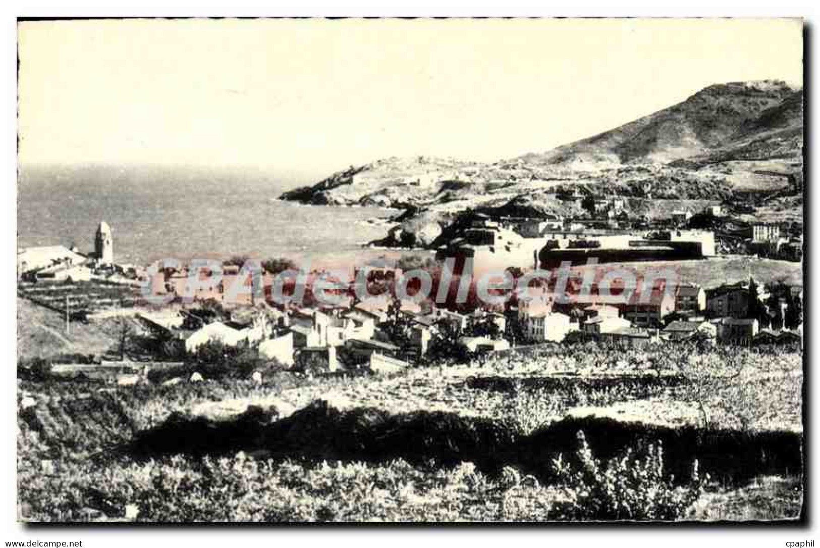 CPA Collioure Vue Generale