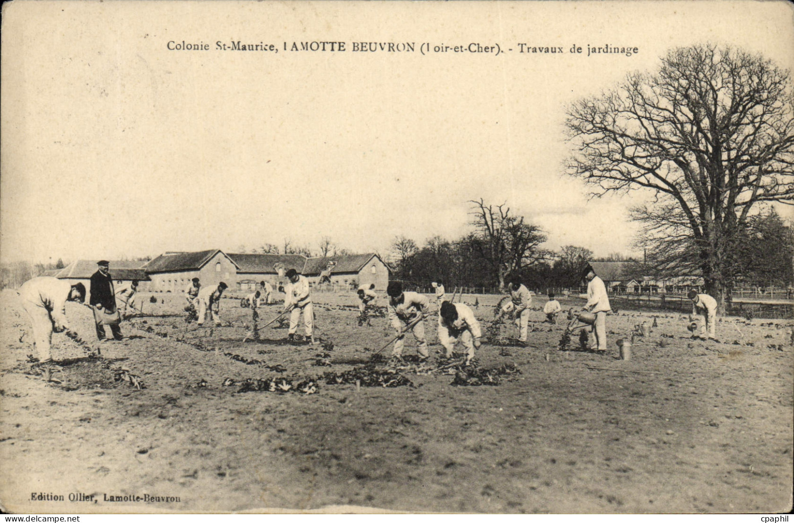 CPA Colonie St Maurice Lamotte Beuvron Travaux de jardinage