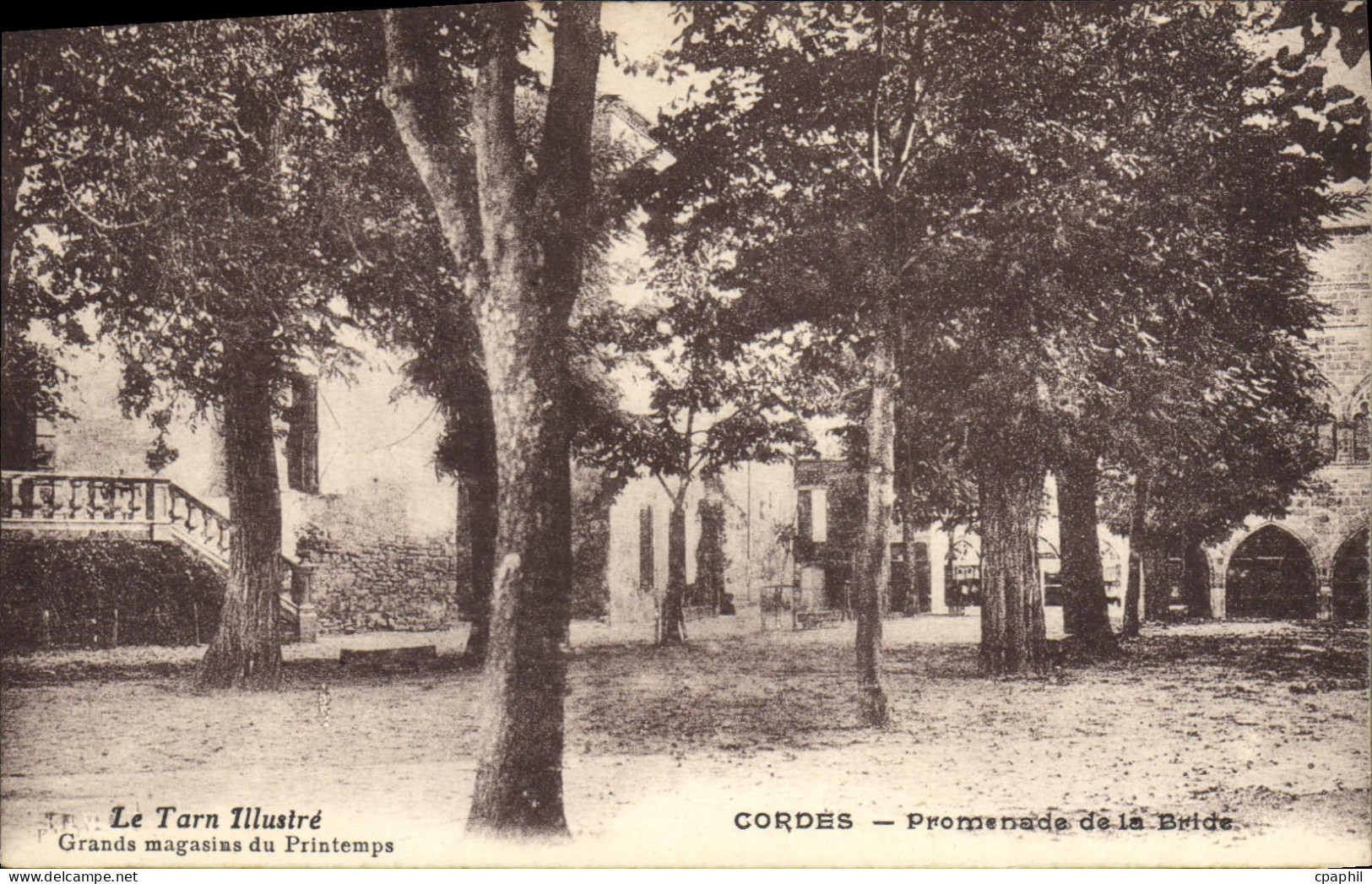 CPA Cordes Promenade De La Bride