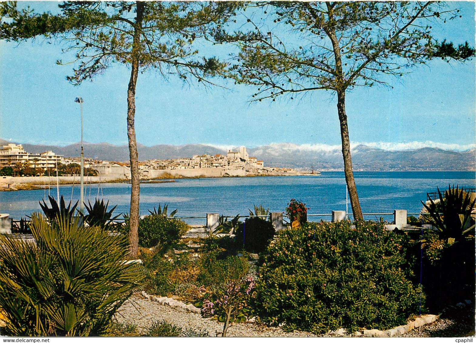 CPA Cote d'Azur Antibes Vue sur la Vieille Ville et les Alpes neigeuses