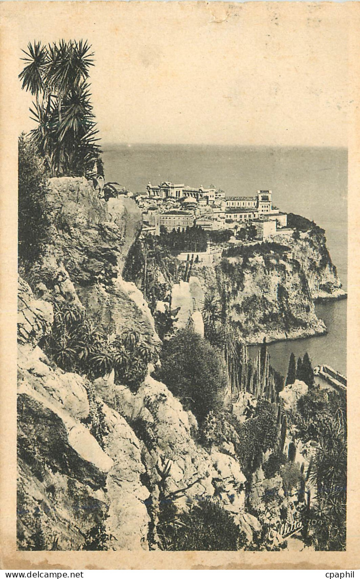CPA Cote d Azur Artistique MONACO - Vue prise du jardin exotique