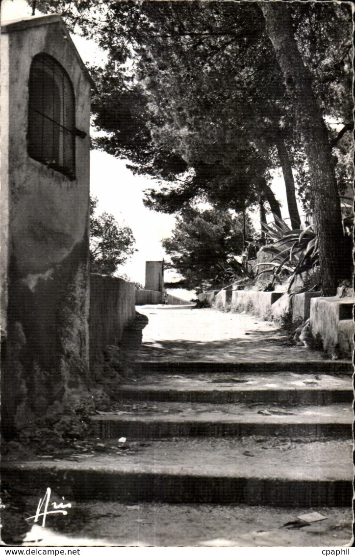 CPA Cote d Azur Sanary sur Mer Chemin de T Oratoire