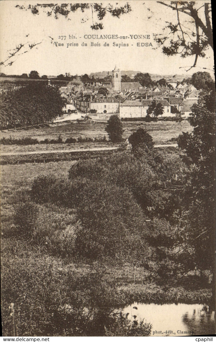 CPA Coulanges Sur Yonne Vue Prise Du Bois De Sapins Edsa