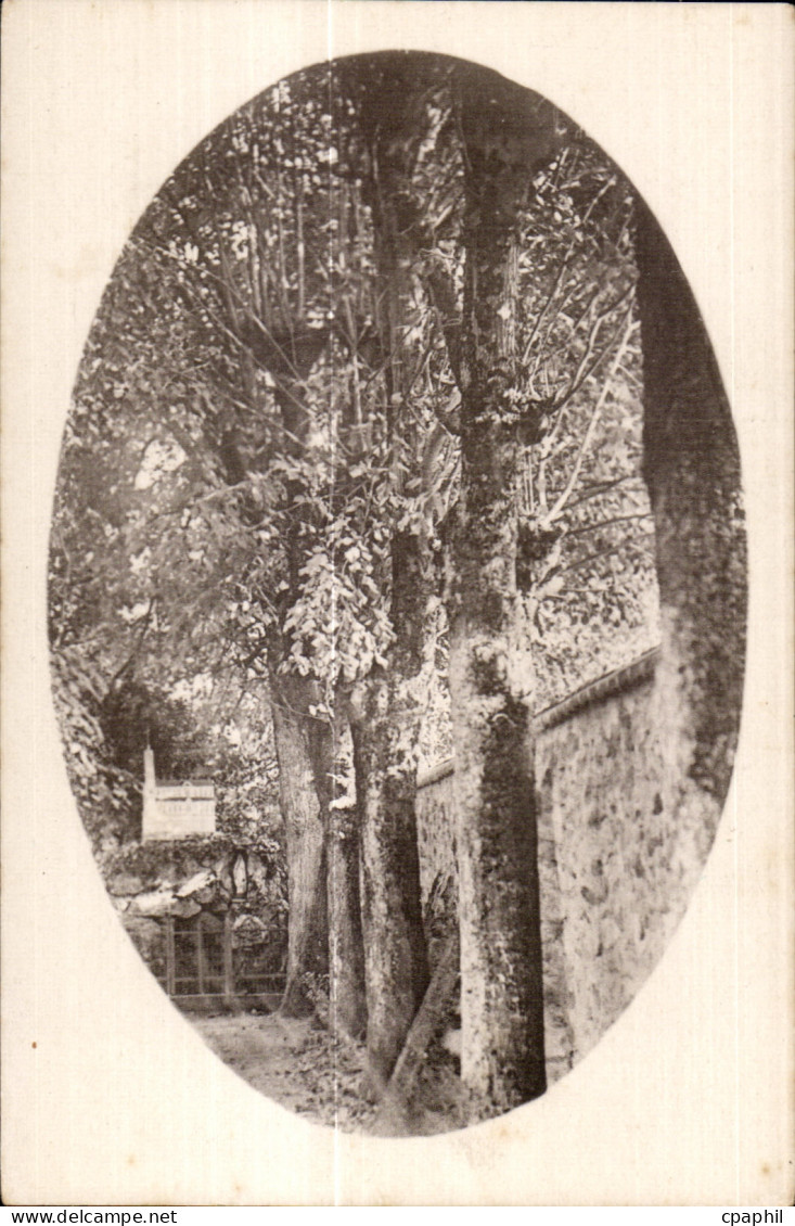 CPA Craon Monastre des Benedictines du Saint Sacrement La Grotte de Lourdes