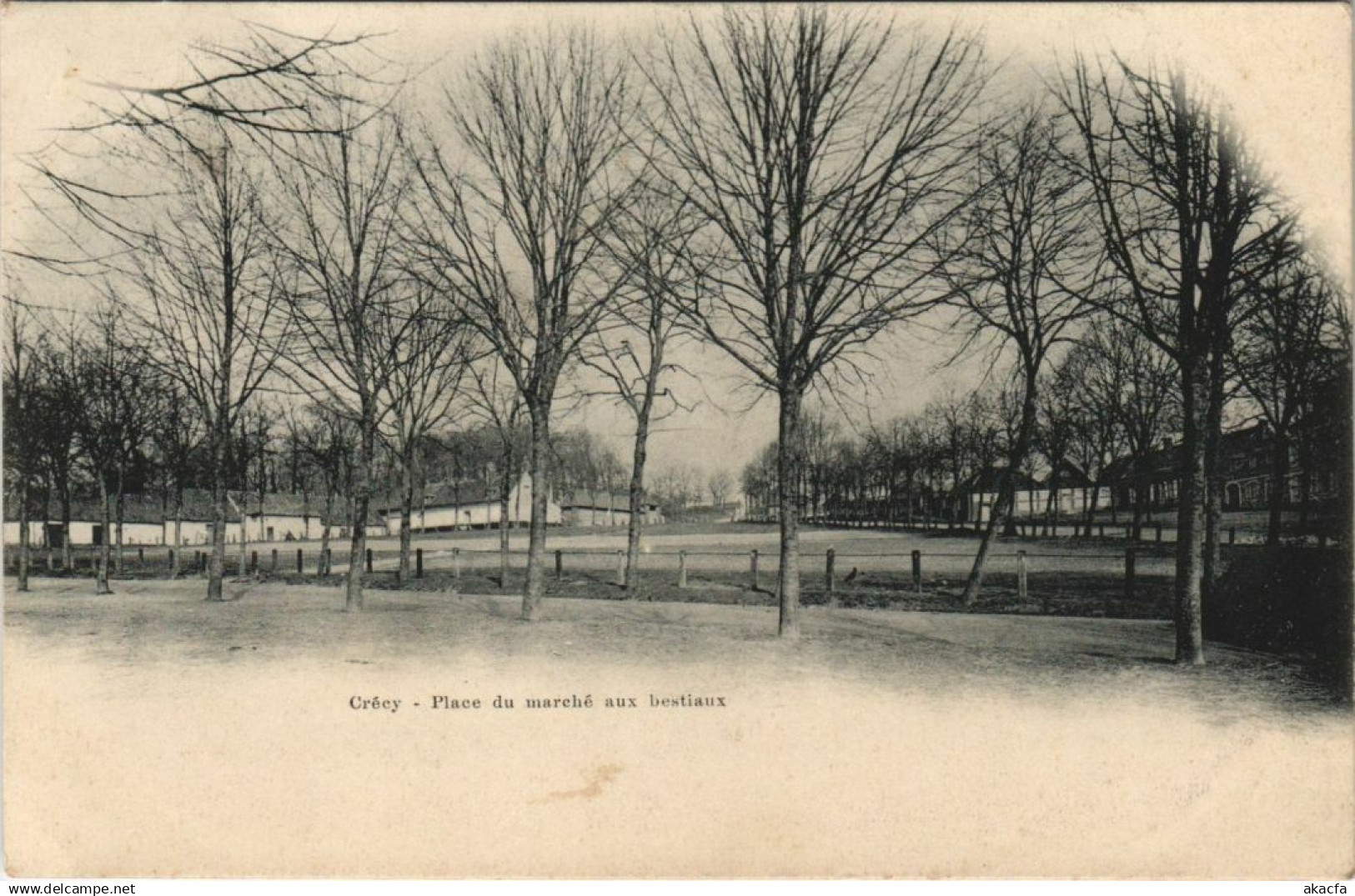 CPA CRÉCY-en-PONTHIEU Place du Marché aux bestiaux (19098)