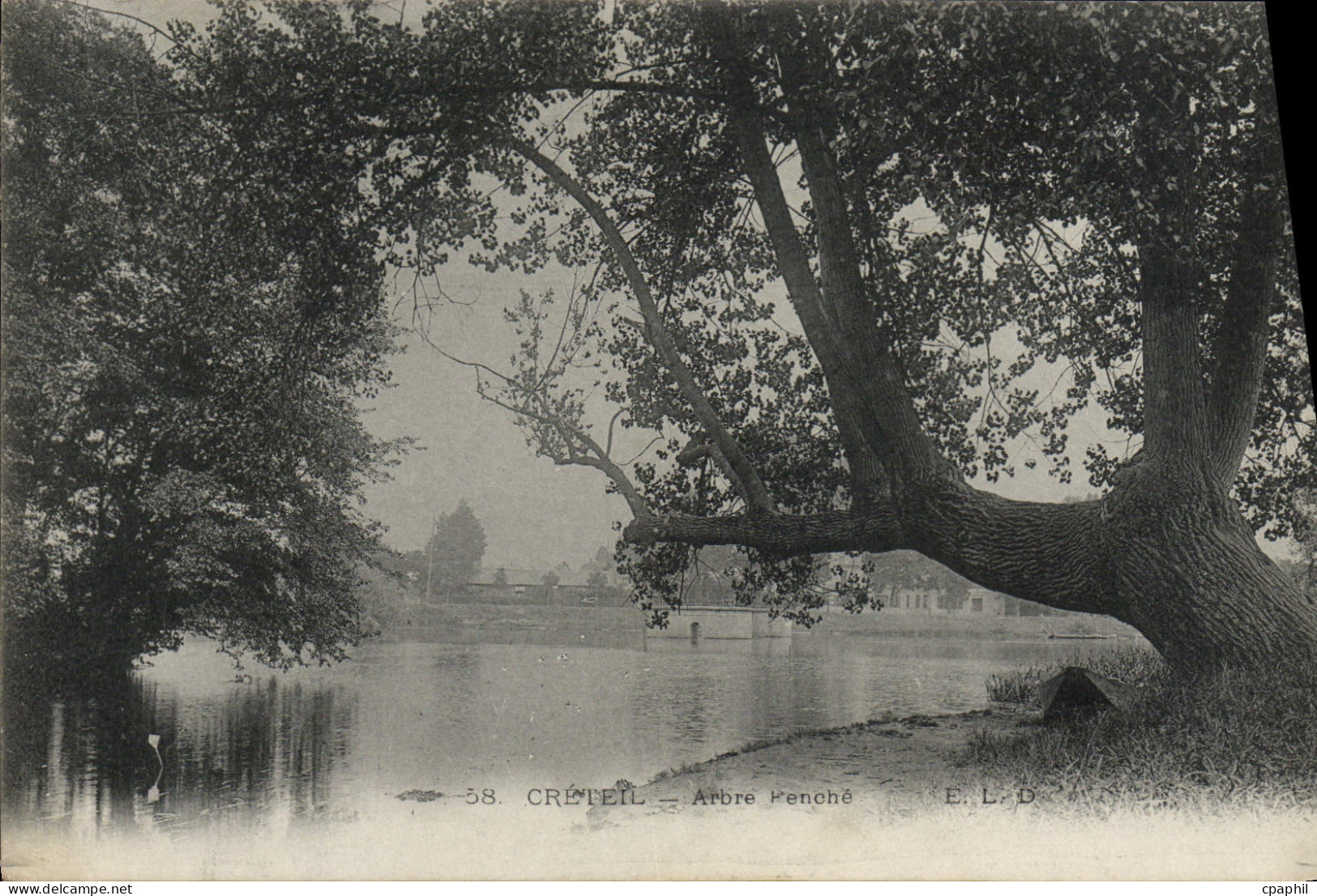 CPA Creteil Arbre Penche
