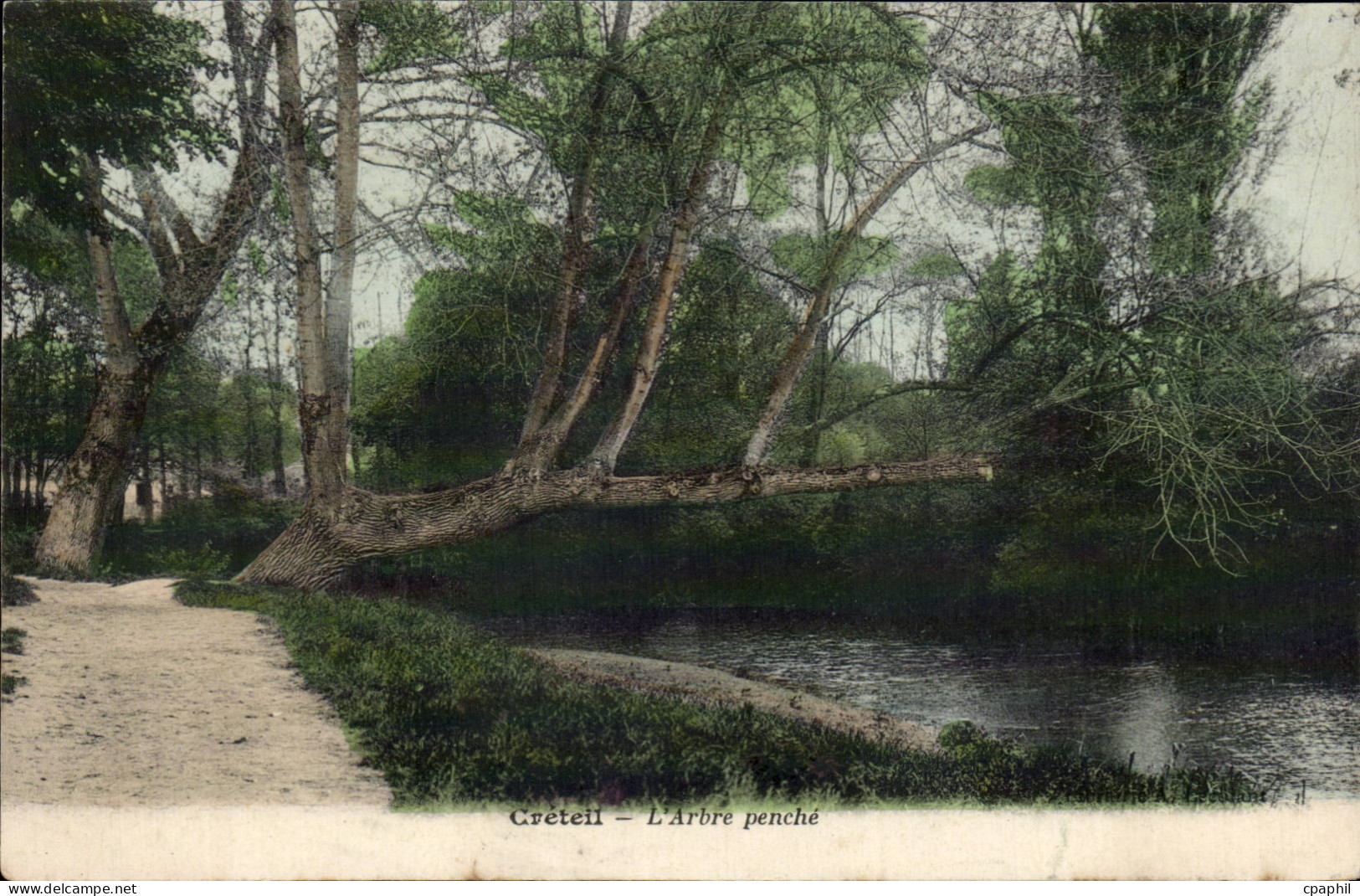 CPA Creteil l'arbre penche
