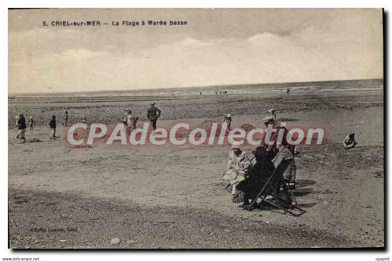 CPA Criel Sur Mer La Plage A Maree Basse
