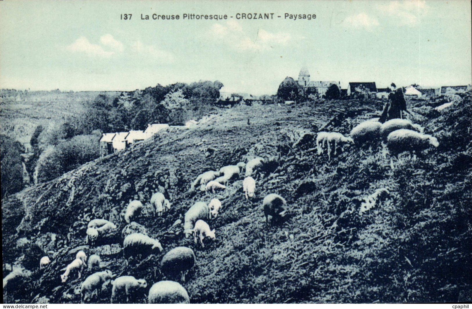 CPA CROZANT paysage moutons
