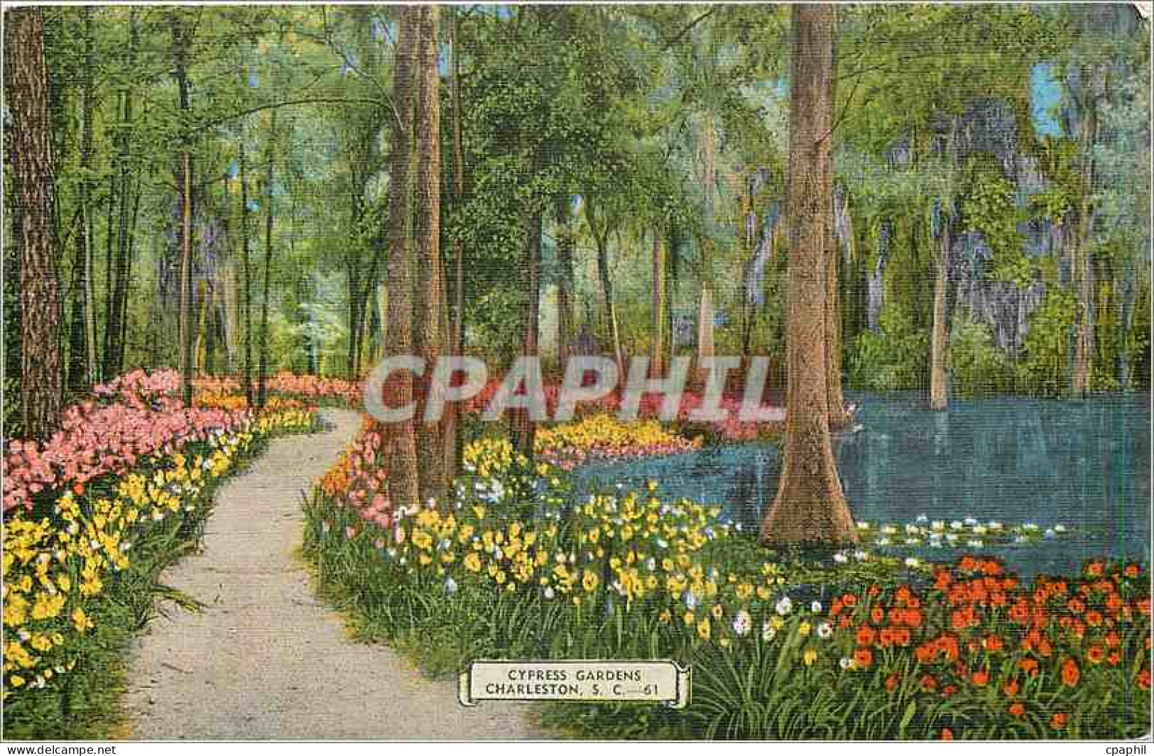 CPA Cypress Gardens Charleston SC