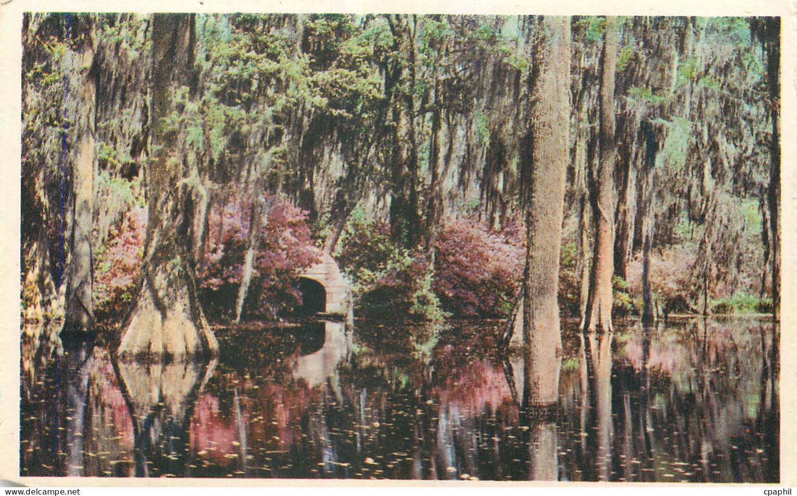 CPA Cypress Gardens Oakley South Carolina