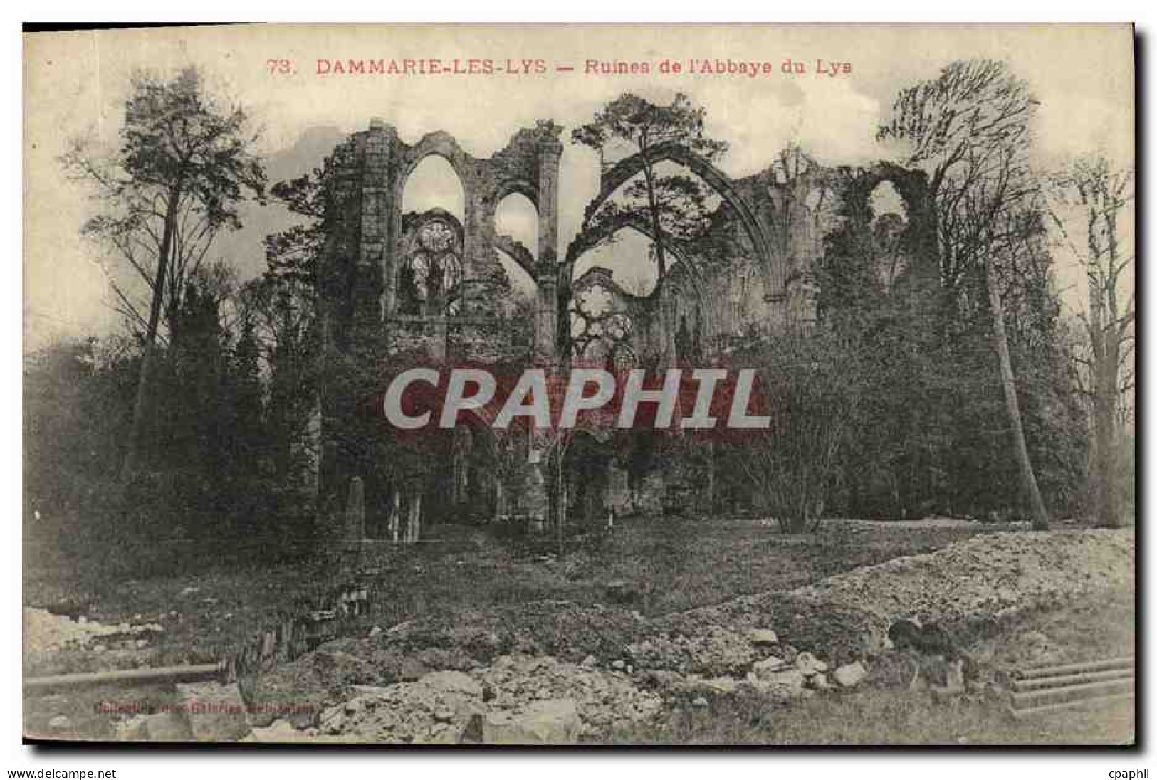 CPA Dammarie Les Lys Ruines de L Abbaye du Lys
