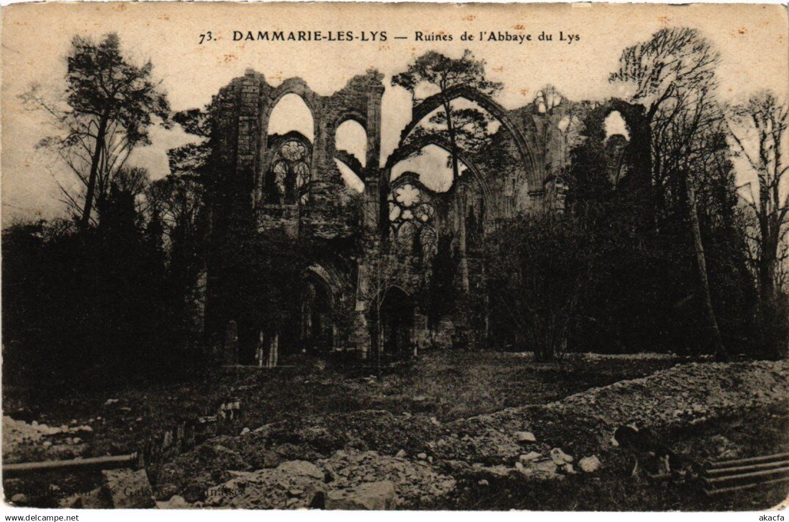 CPA DAMMARIE-les-LYS Ruines de l'Abbaye du Lys (1329466)
