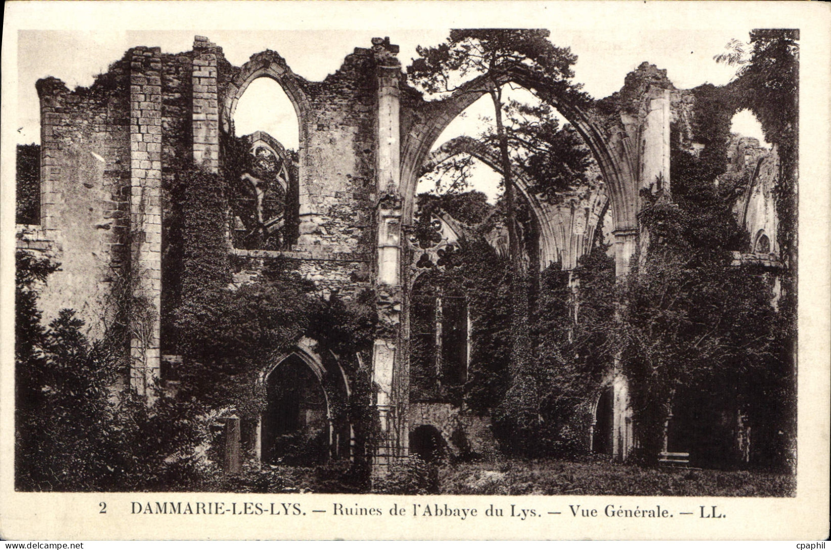 CPA Dammarie Les Lys Ruines de l'Abbaye du Lys Vue Generale