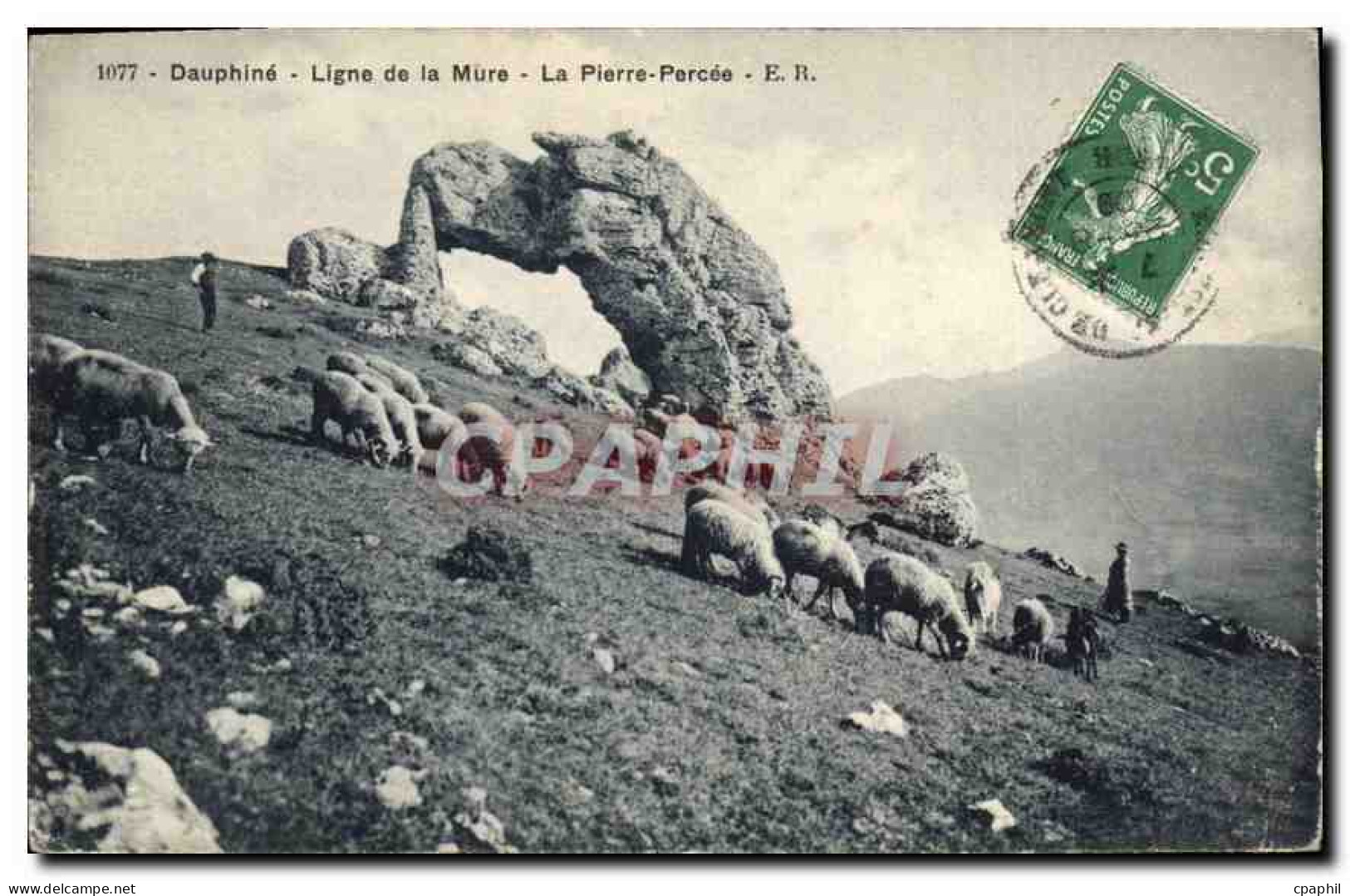 CPA Dauphine Ligne de la Mure la Pierre Percee Berger Moutons