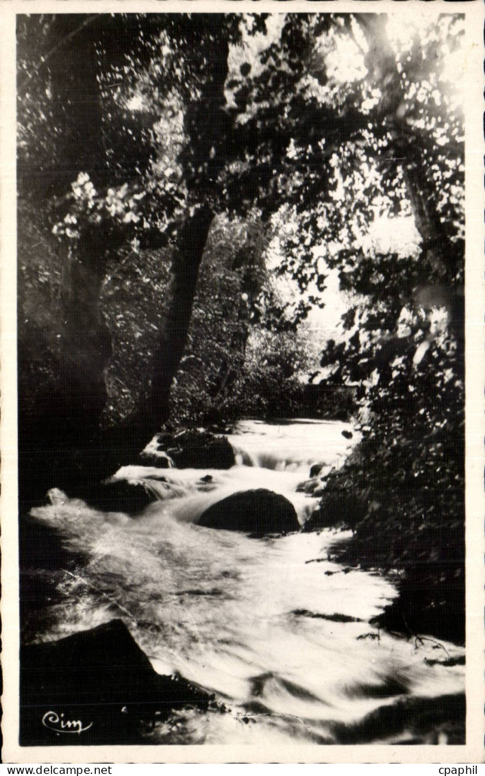 CPA Divonne les Bains La Divonne sous bois