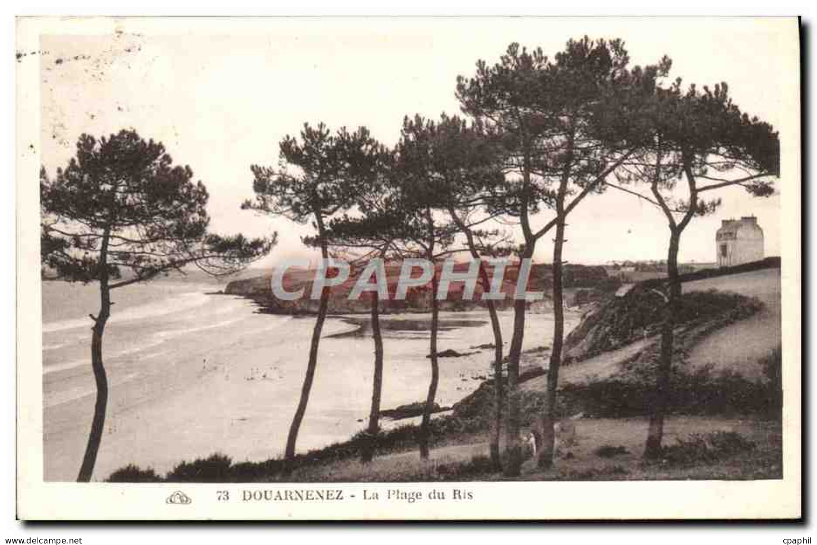 CPA Douarnenez La Plage du Ris