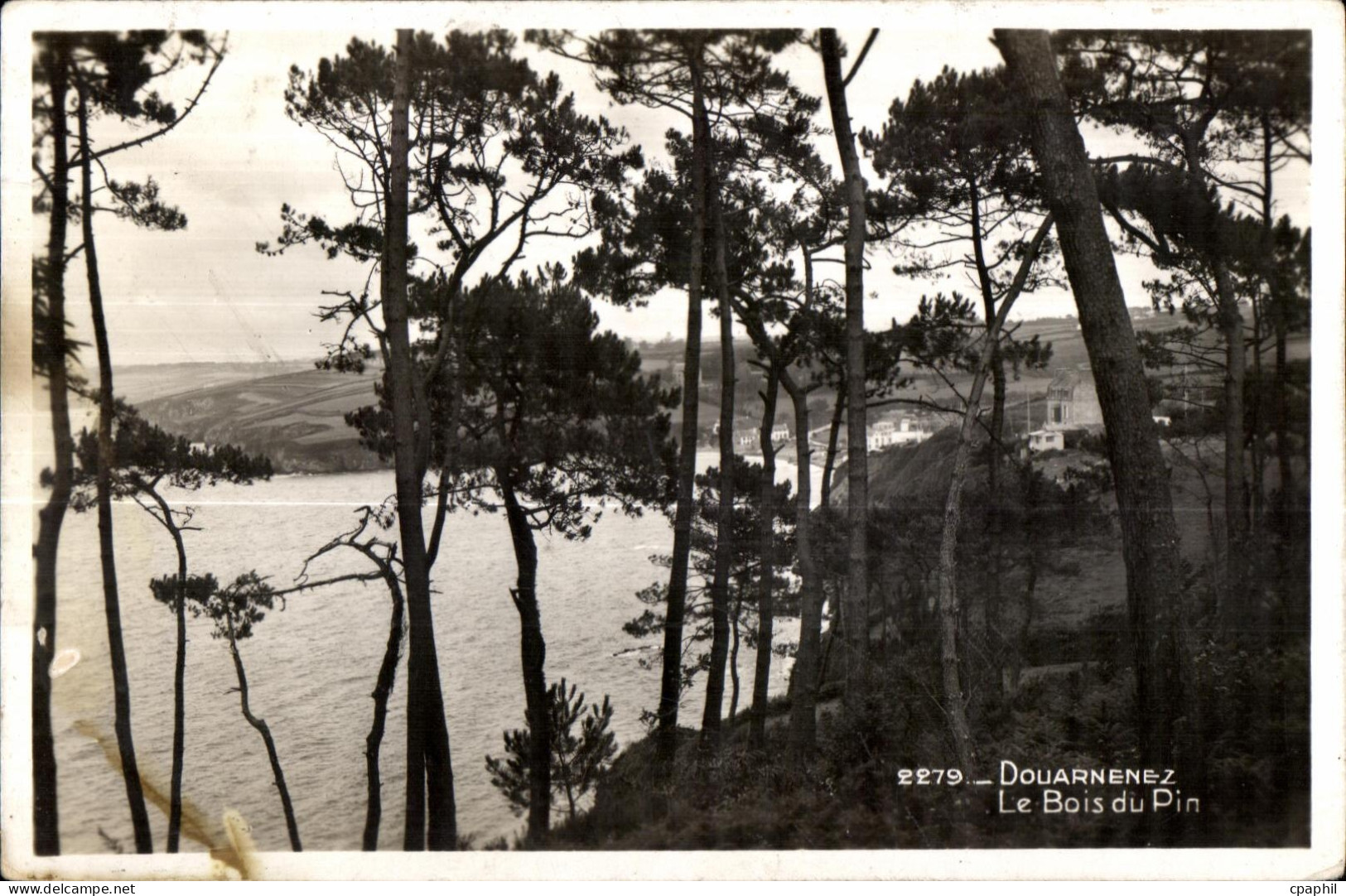 CPA Douarnenez Le Bois du Pin