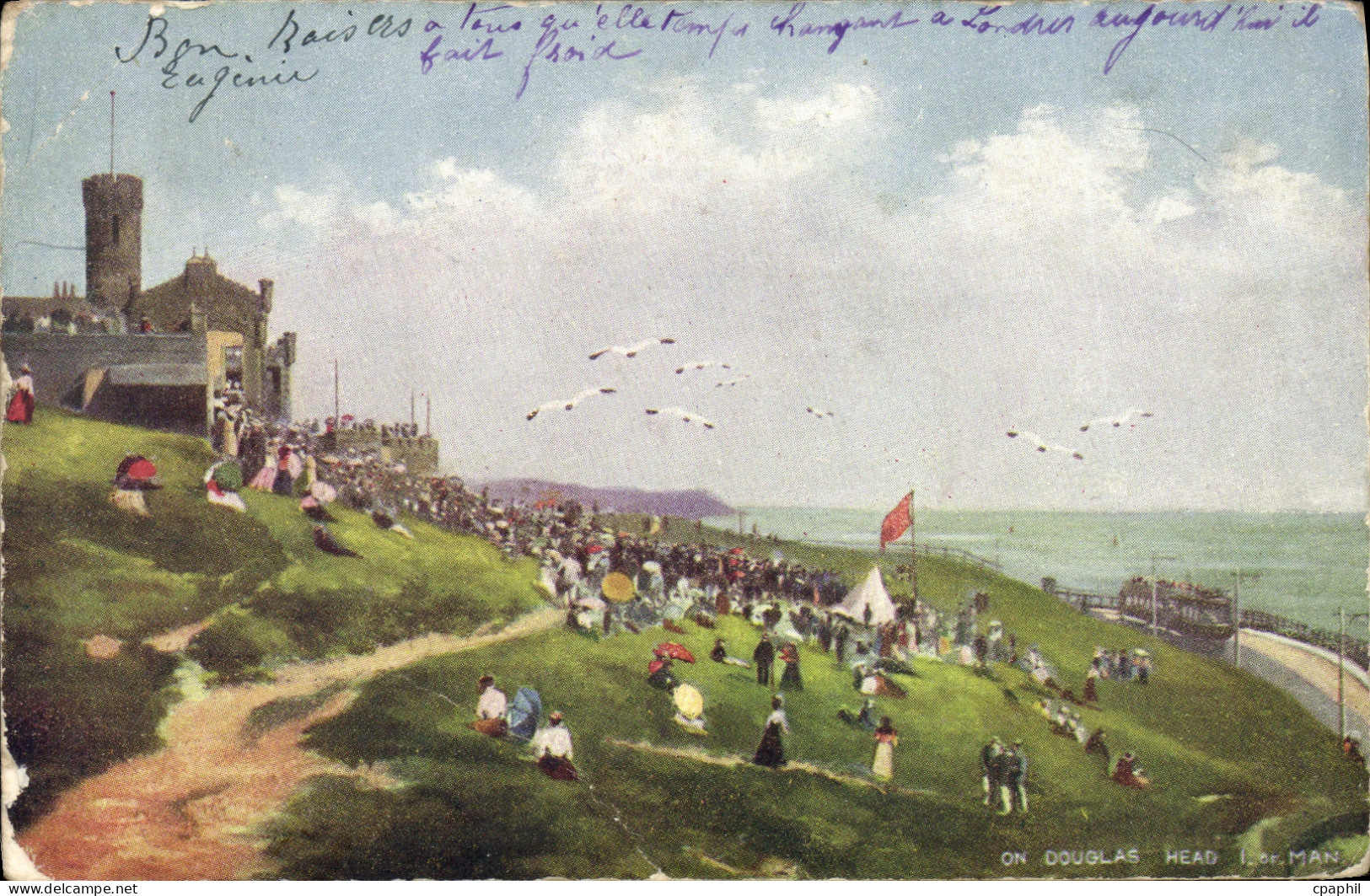 CPA Douglas Head Man