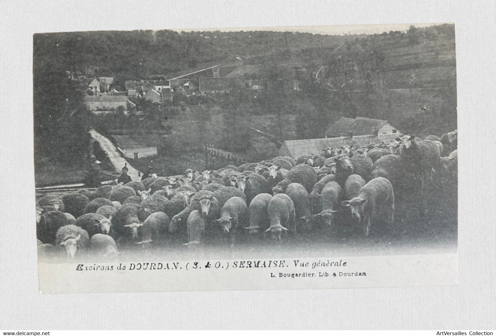 CPA Dourdan - Berger et ses moutons - Non voyagée
