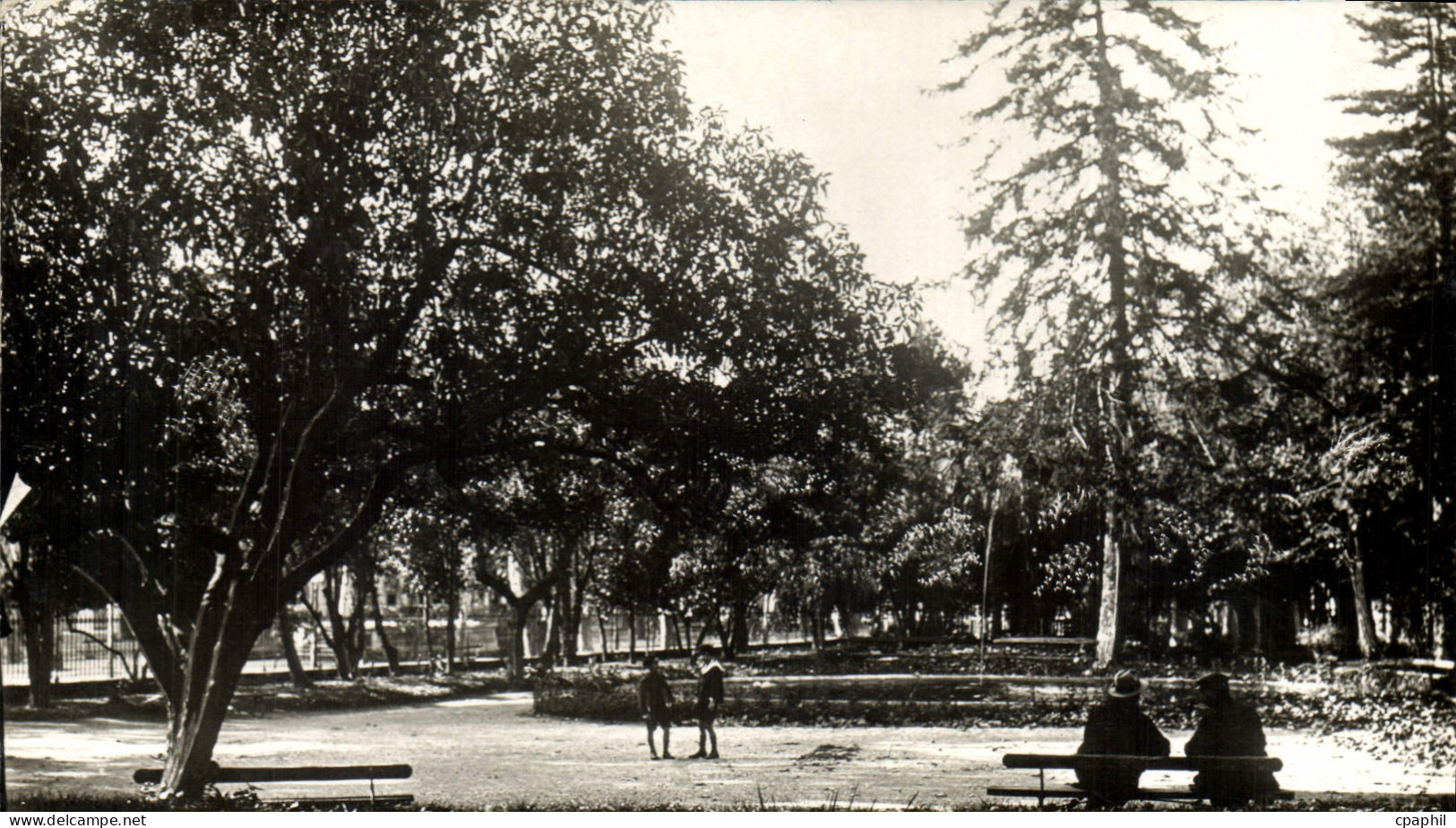 CPA Draguignan Var le jardin Anglais
