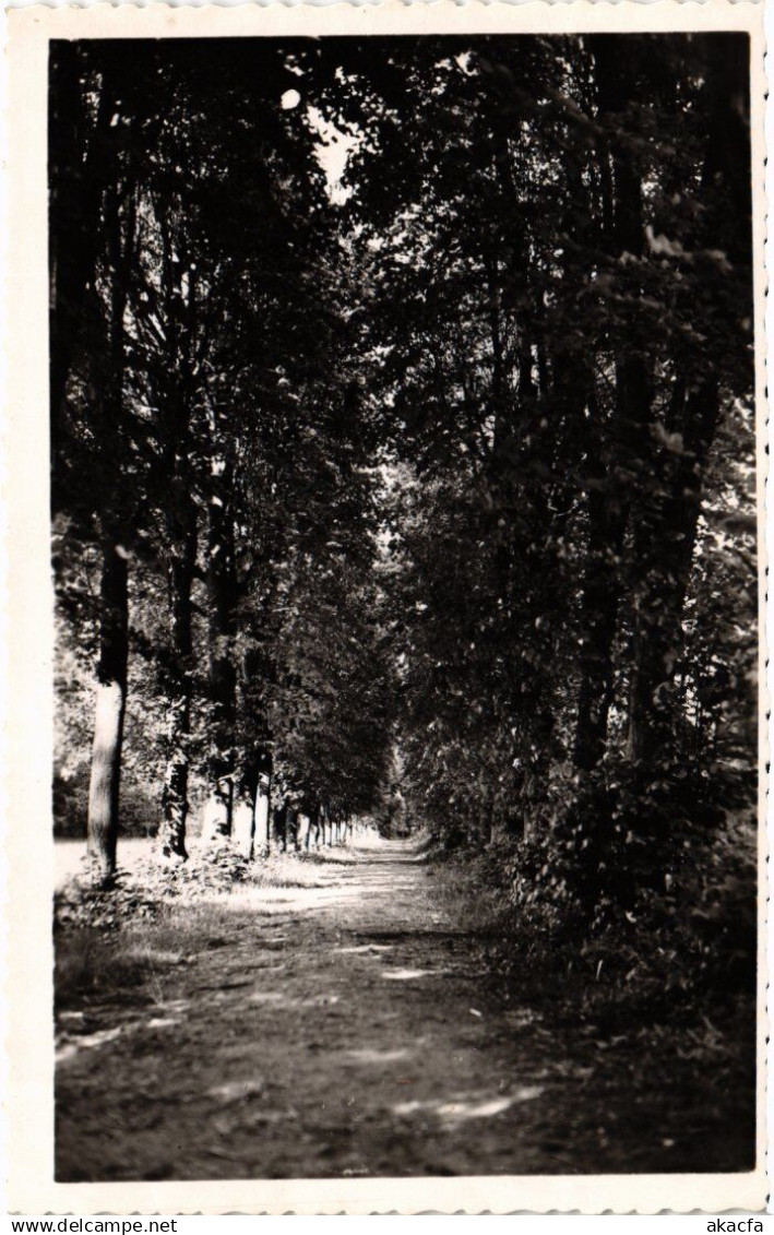 CPA Draveil Le Parc (1349588)