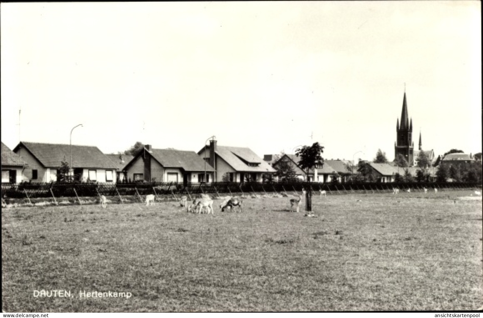 CPA Druten Gelderland Niederlande, Hertenkamp