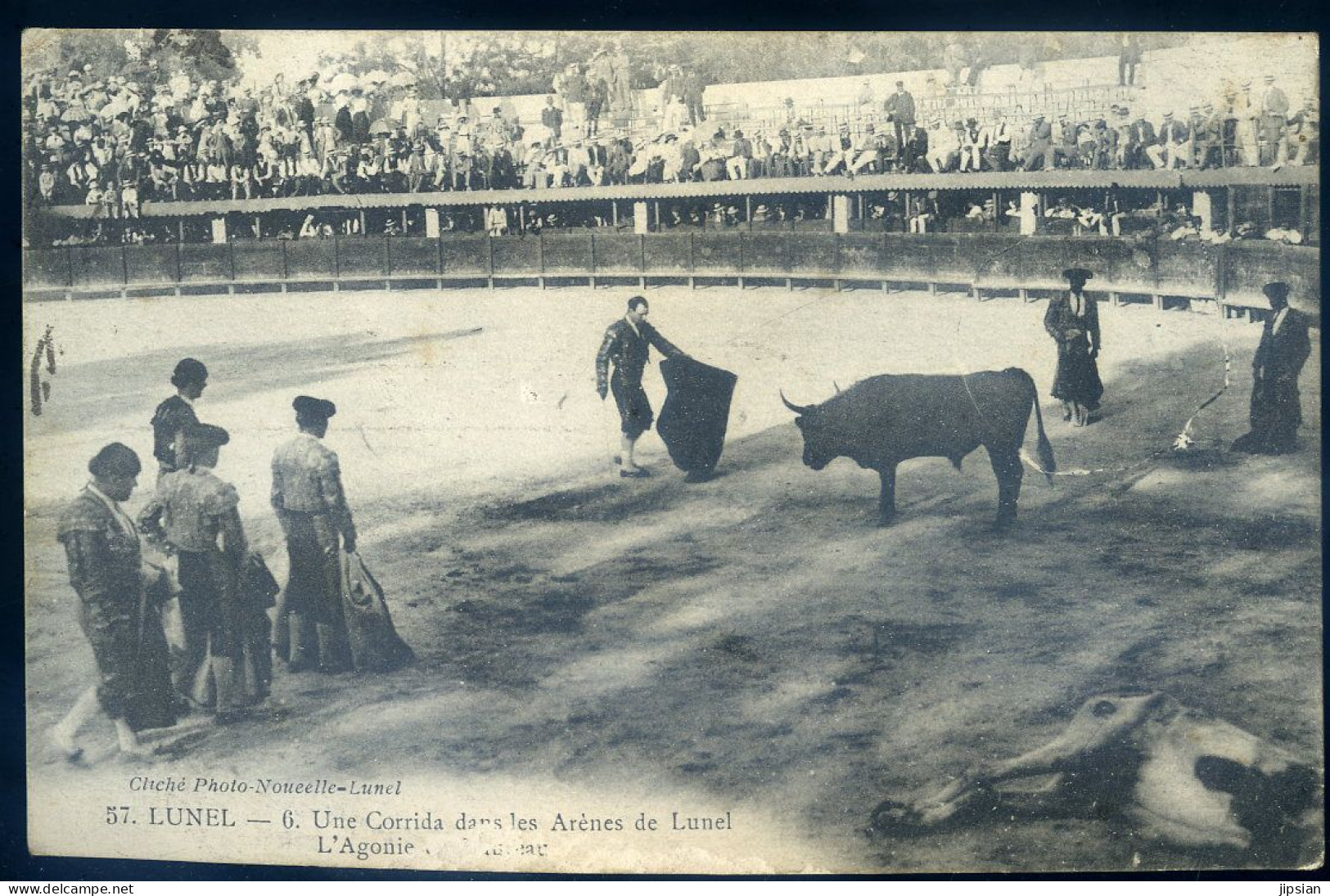 cpa du 34 Lunel une Corrida dans les arènes de Lunel -- l' agonie du Taureau   JU25-18