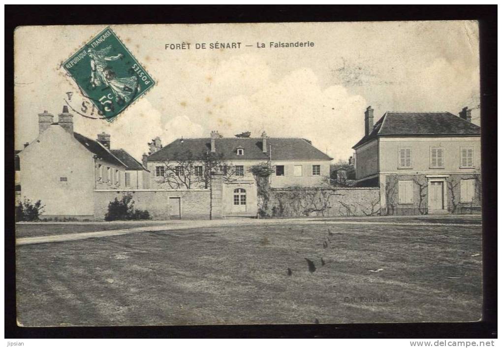 Cpa  du   91  Forêt de Sénart  la Faisanderie     LOK6