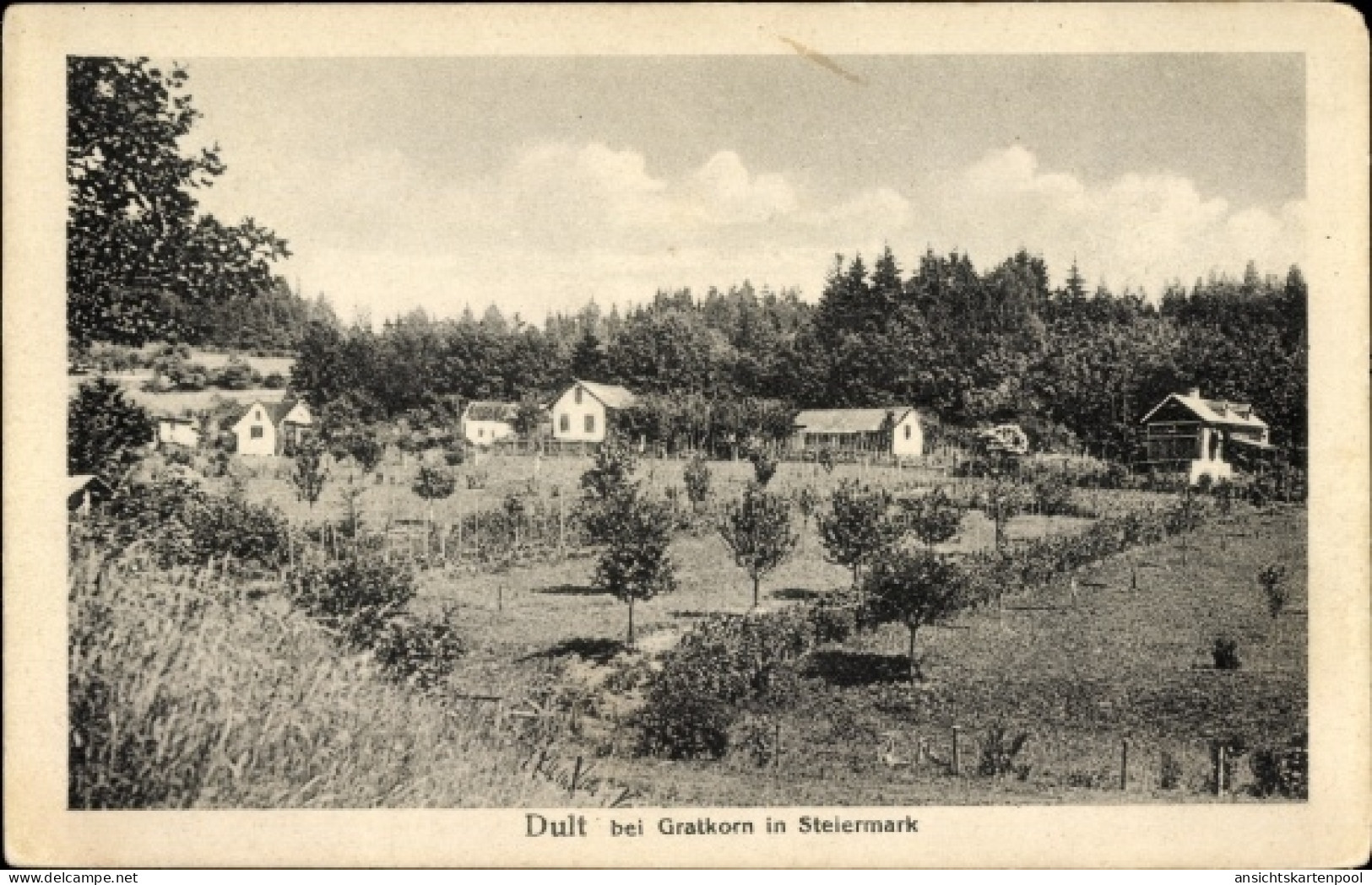 CPA Dult Gratkorn Steiermark, Ortsansicht, Wohnhäuser am Waldrand