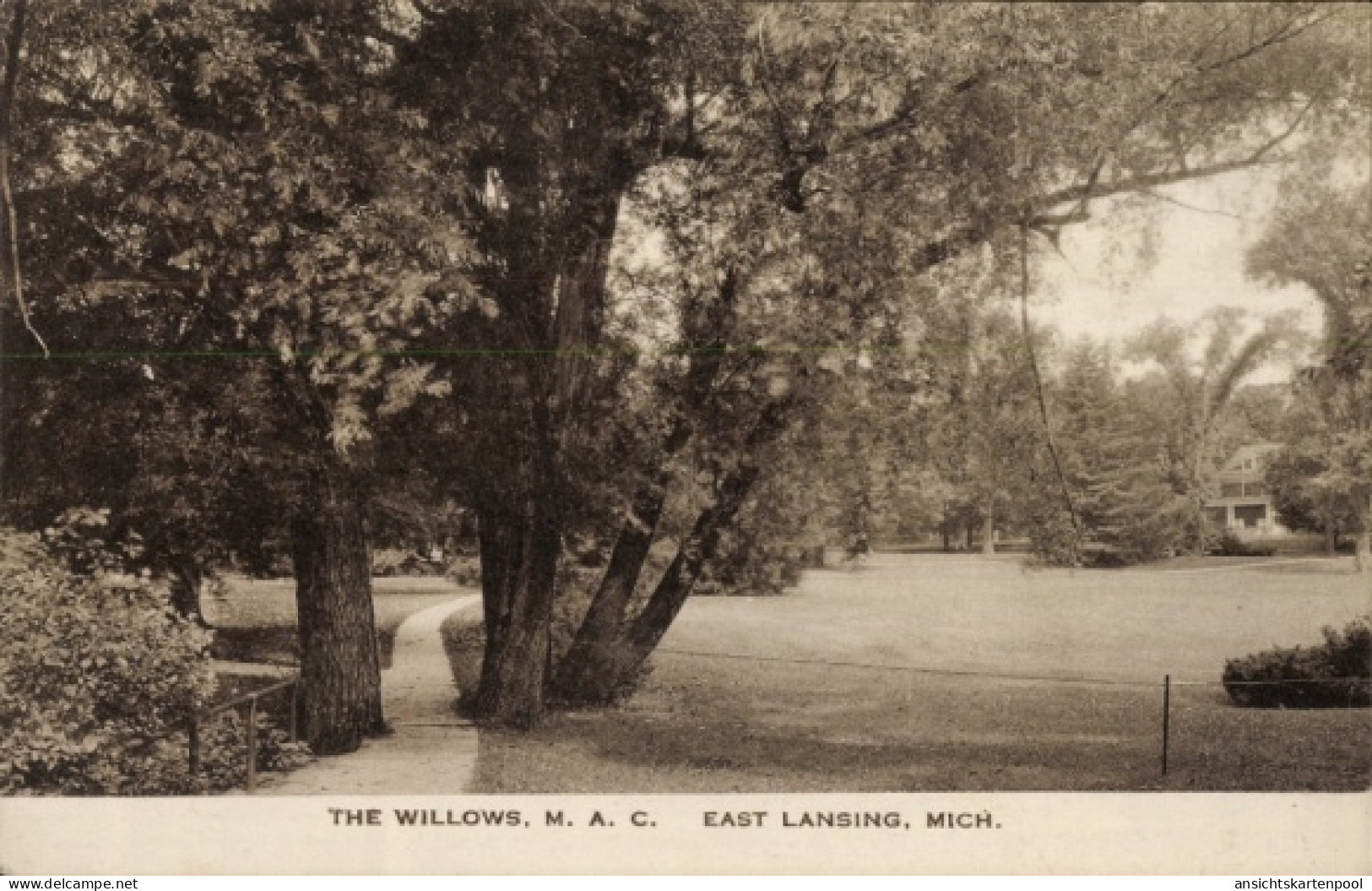 CPA East Lansing Michigan USA, The Willows, M. A. C.