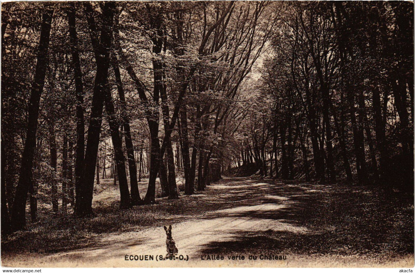CPA Ecouen Allee verte du Chateau (1317621)