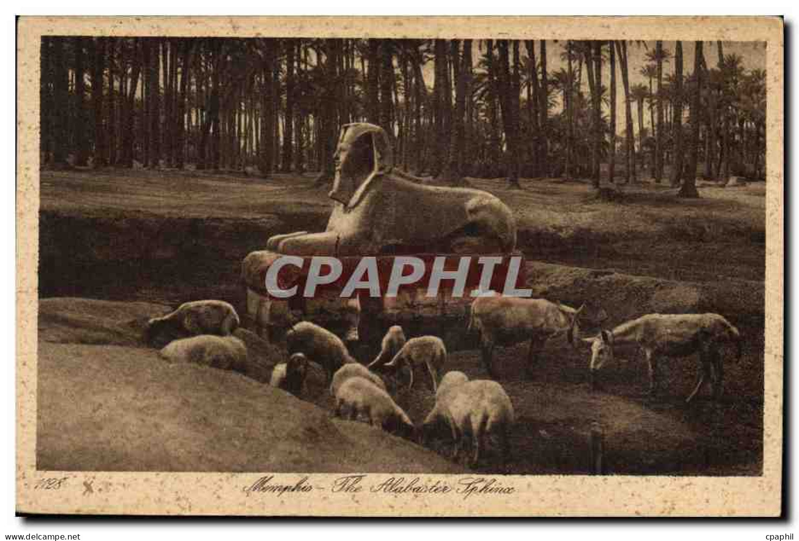 CPA Egypte Egypt Memphis