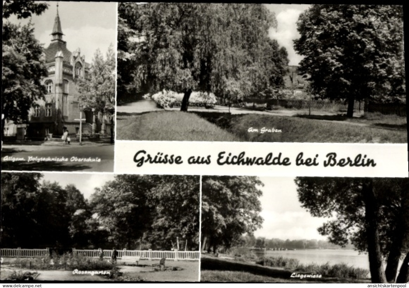 CPA Eichwalde im Kreis Dahme Spreewald, Am Graben, allgem. Polytechnische Oberschule, Rosengarten