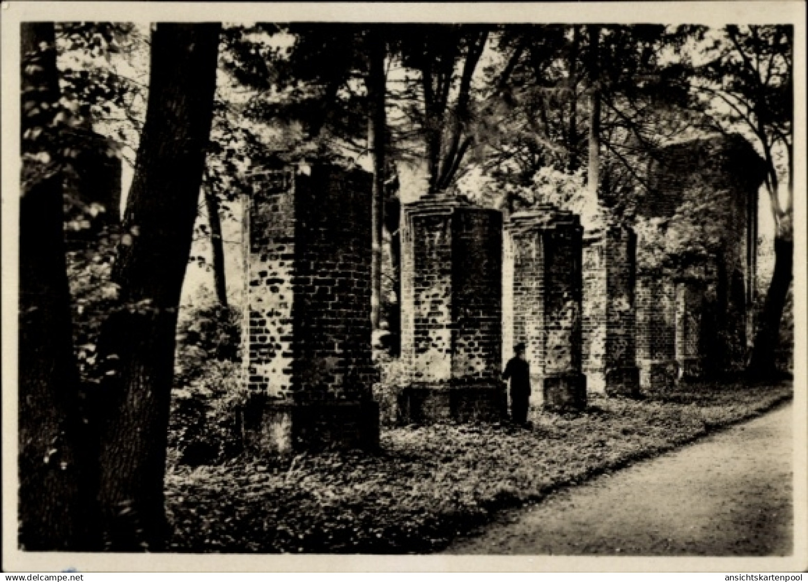 CPA Eldena Hansestadt Greifswald, Kloster, Arkadenpfeiler, Langhaus