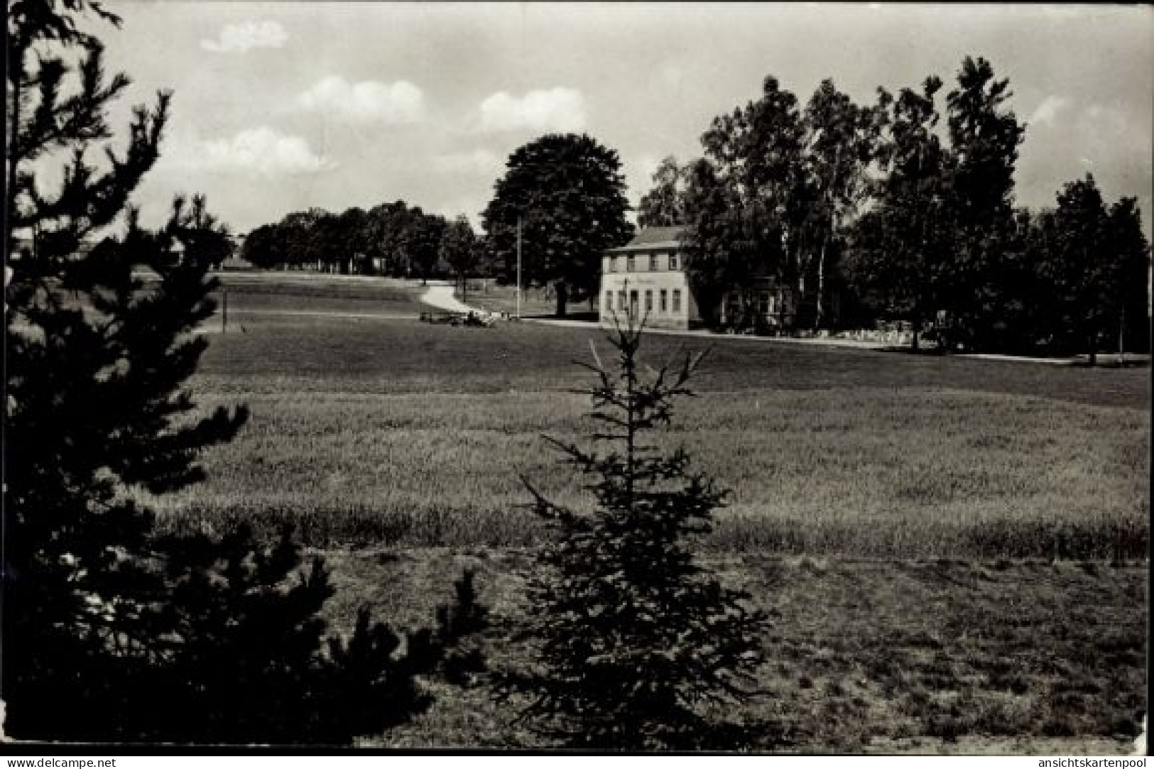 CPA Elterlein im Erzgebirge, Finkenburg, Gasthaus