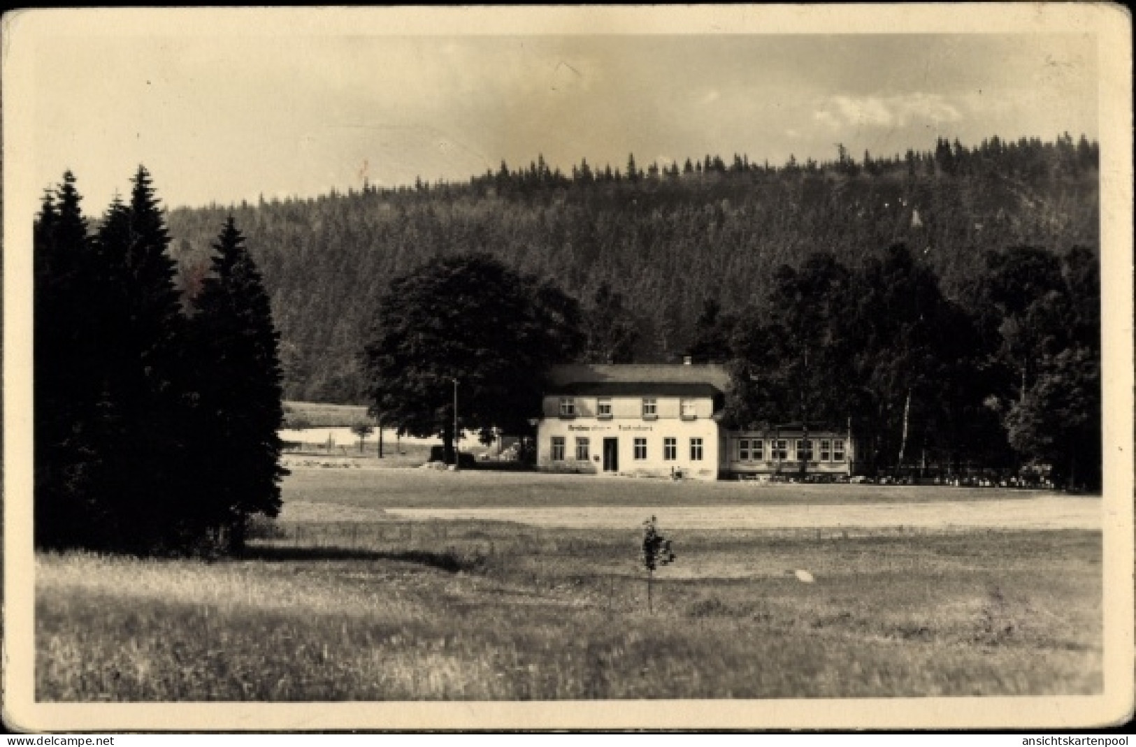 CPA Elterlein im Erzgebirge, Finkenburg, Wald
