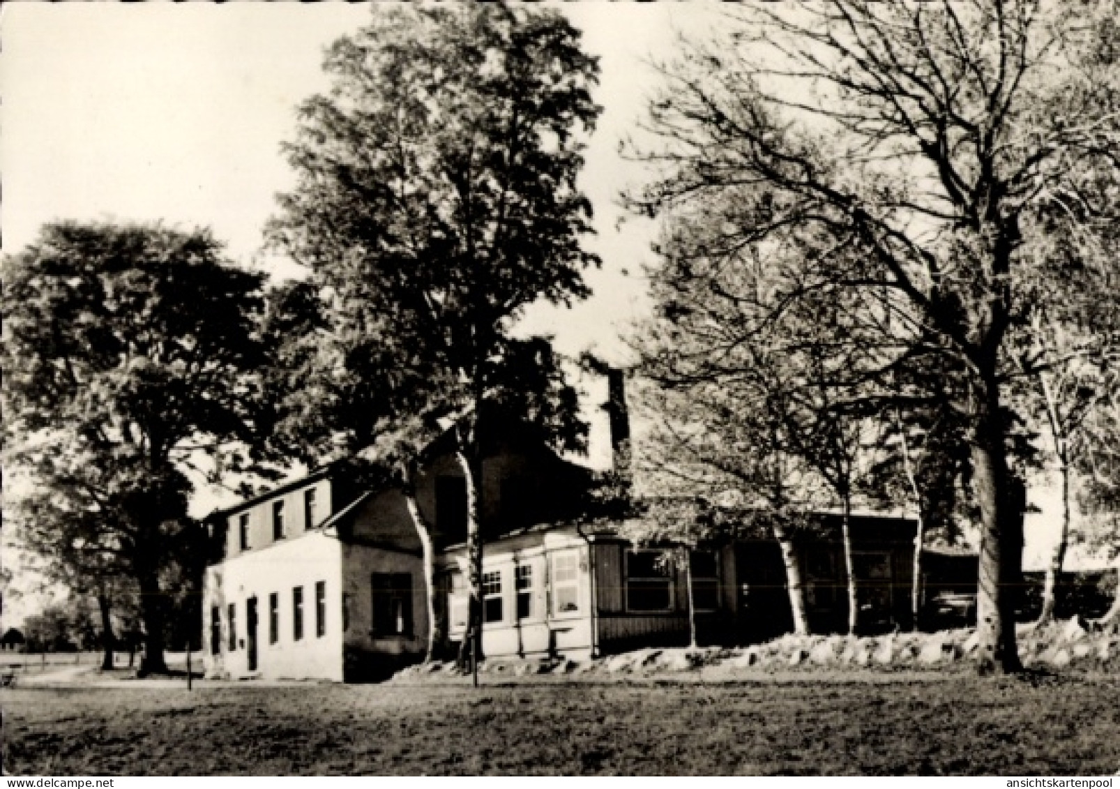 CPA Elterlein im Erzgebirge, Gaststätte Finkenburg, Bäume, Wiese