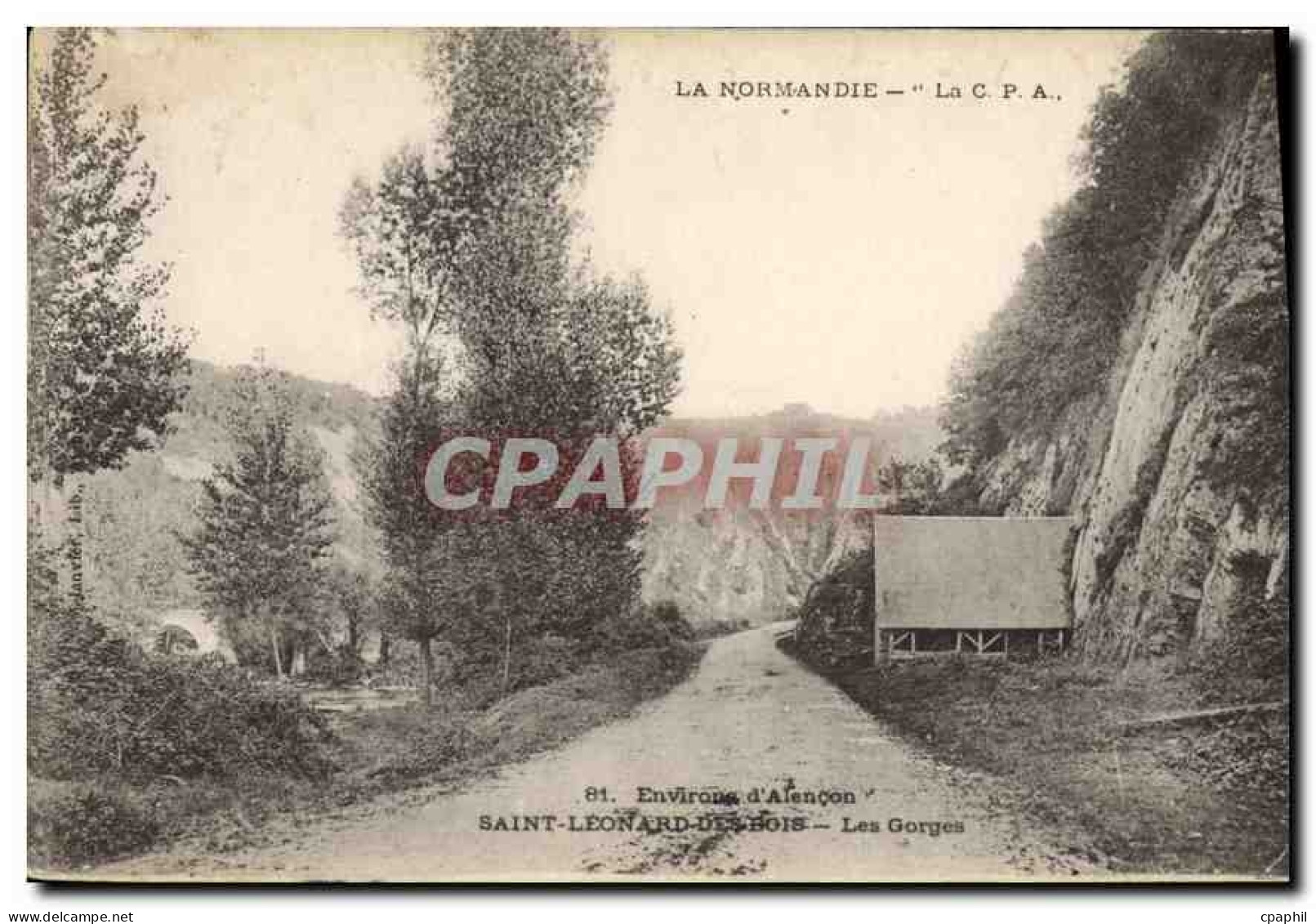 CPA Environs d'Alecon Saint Leonard des Bois Les Gorges