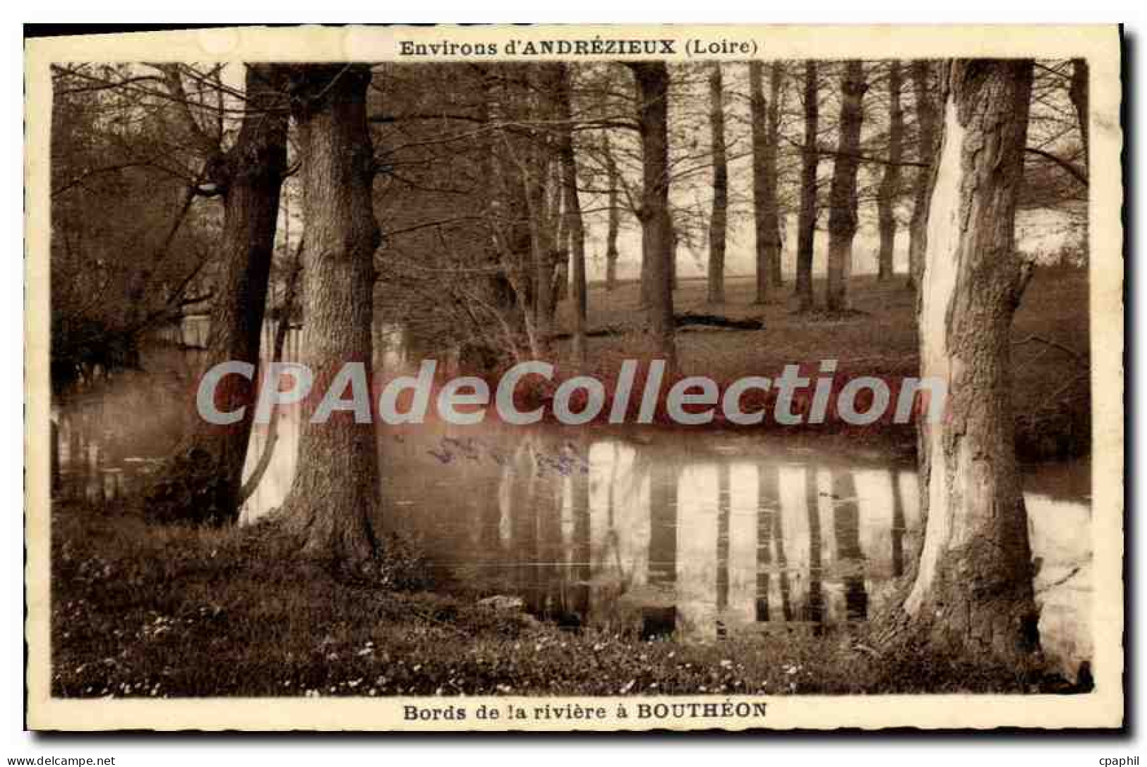 CPA Environs d'Andrezieux Bords de la Riviere a Boutheon
