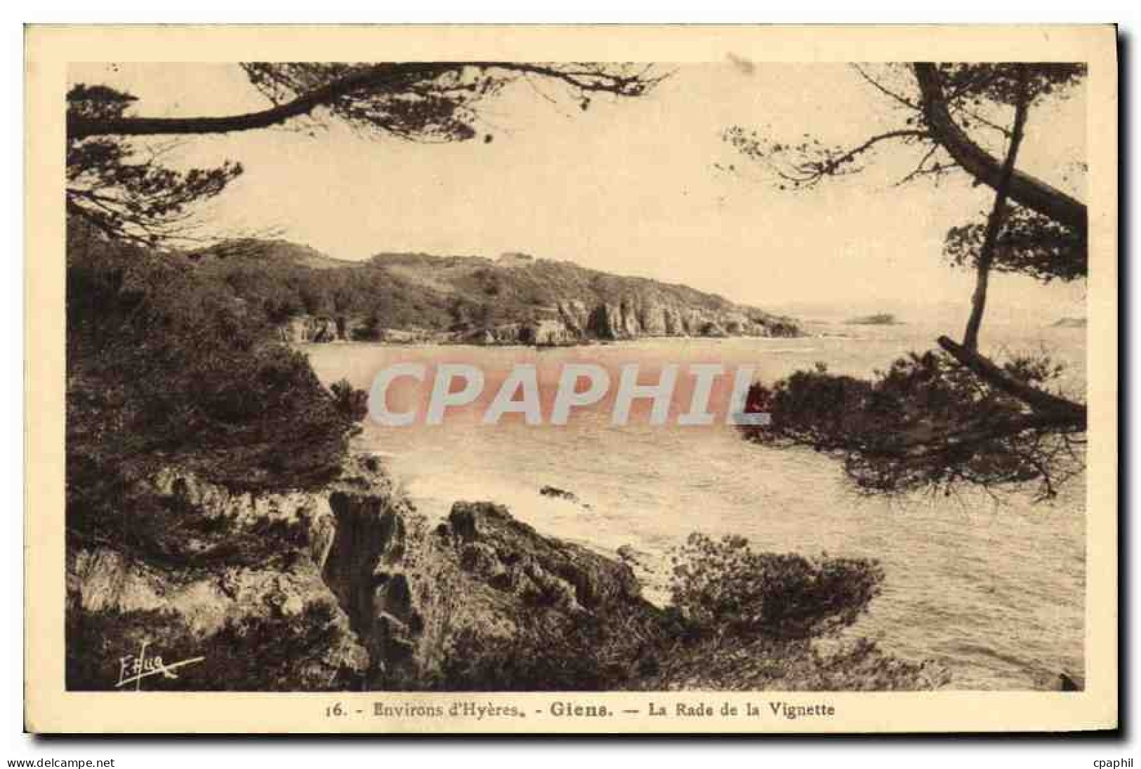 CPA Environs d'Hyeres Viena La Rade de la Vignette