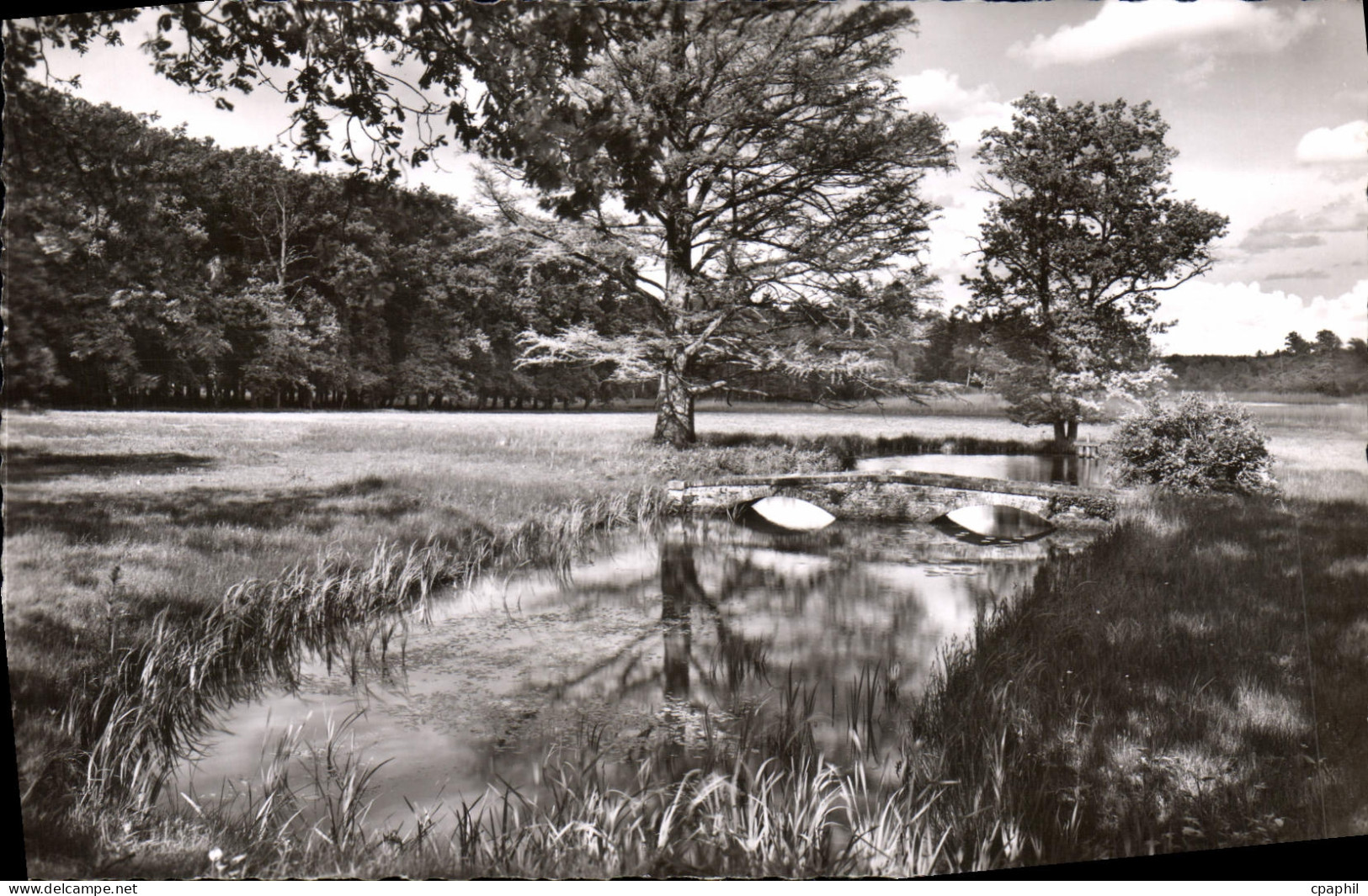 CPA Environs de Lamotte Beuvron