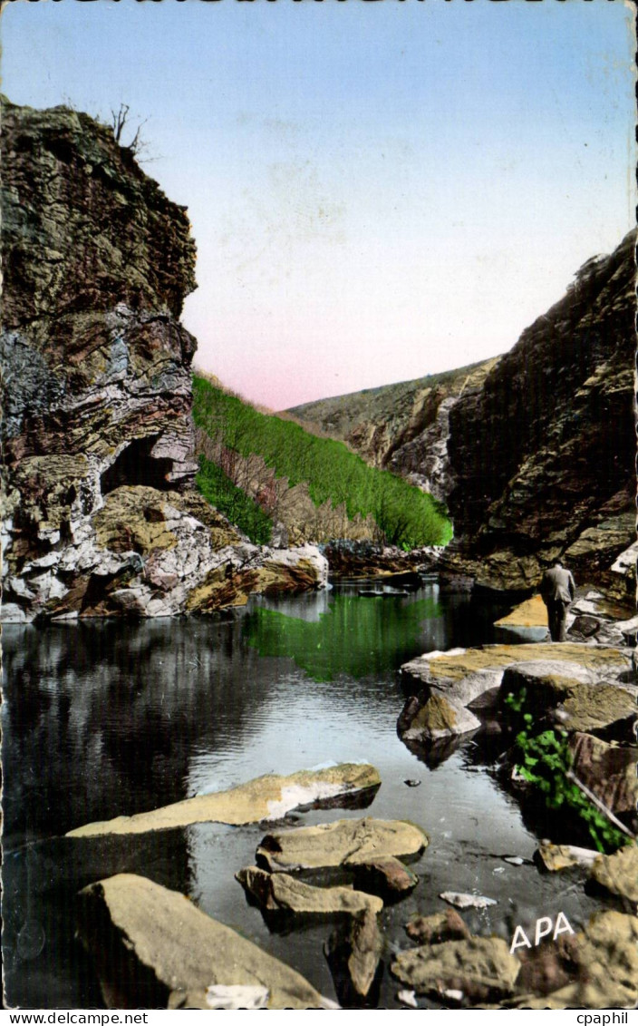 CPA Environs de Mazamet Gorges du Banquet