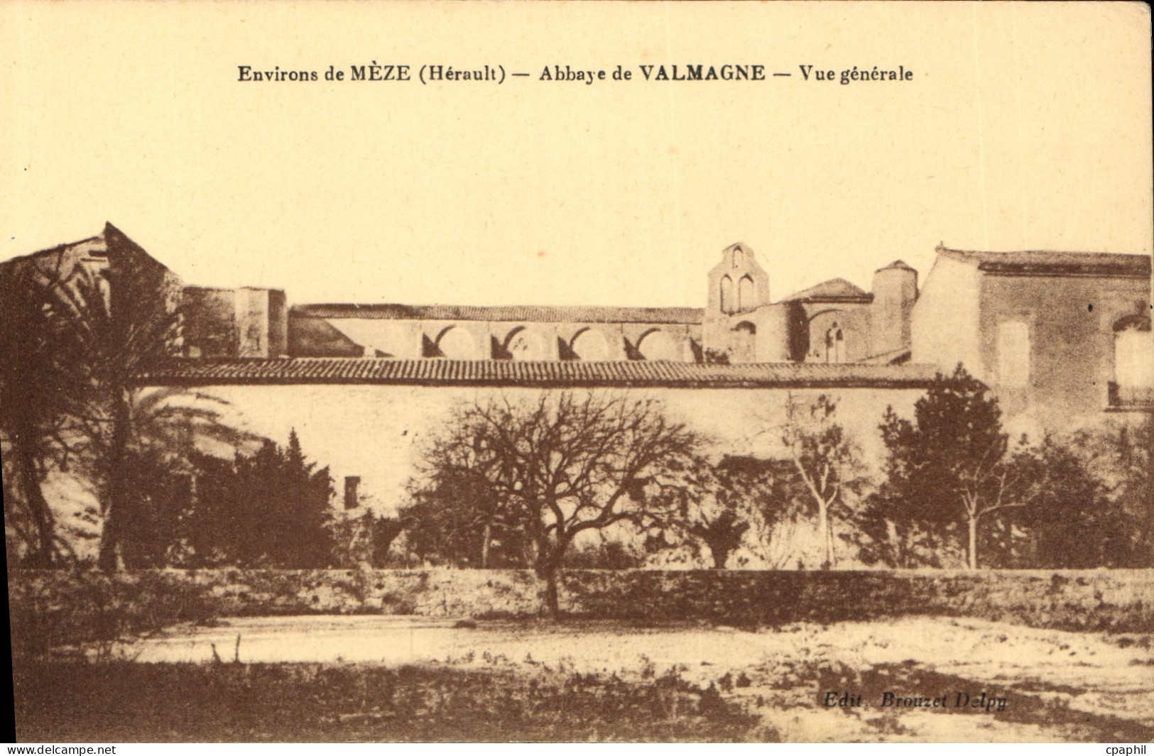 CPA Environs de Meze Herault Abbaye de Valmagne Vue generale