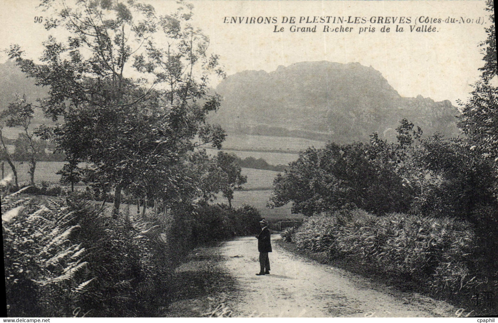 CPA Environs de Plestin les Greves Cotes du Nord Le Grand Rocher pris de la Vallee