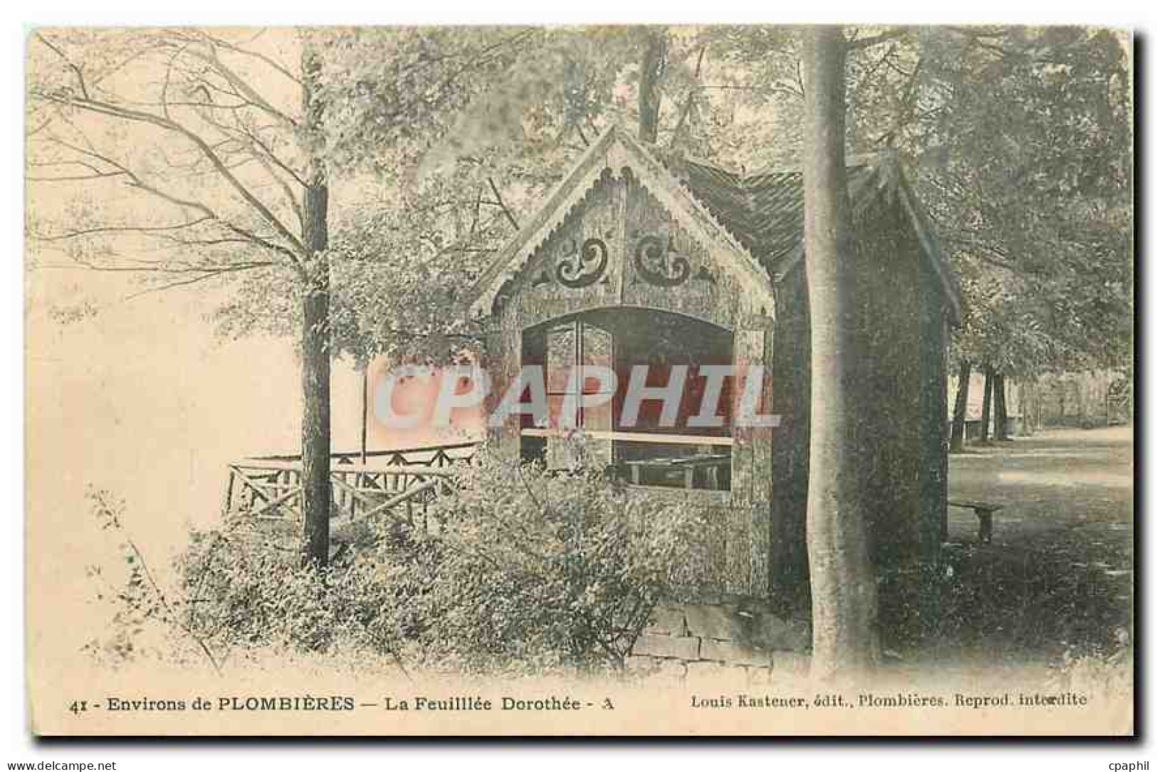 CPA Environs de Plombieres La Feuillee Dorothee