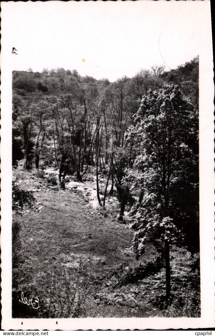 CPA Environs de St Sulpice les Feuilles H V Vallee de la Benaize