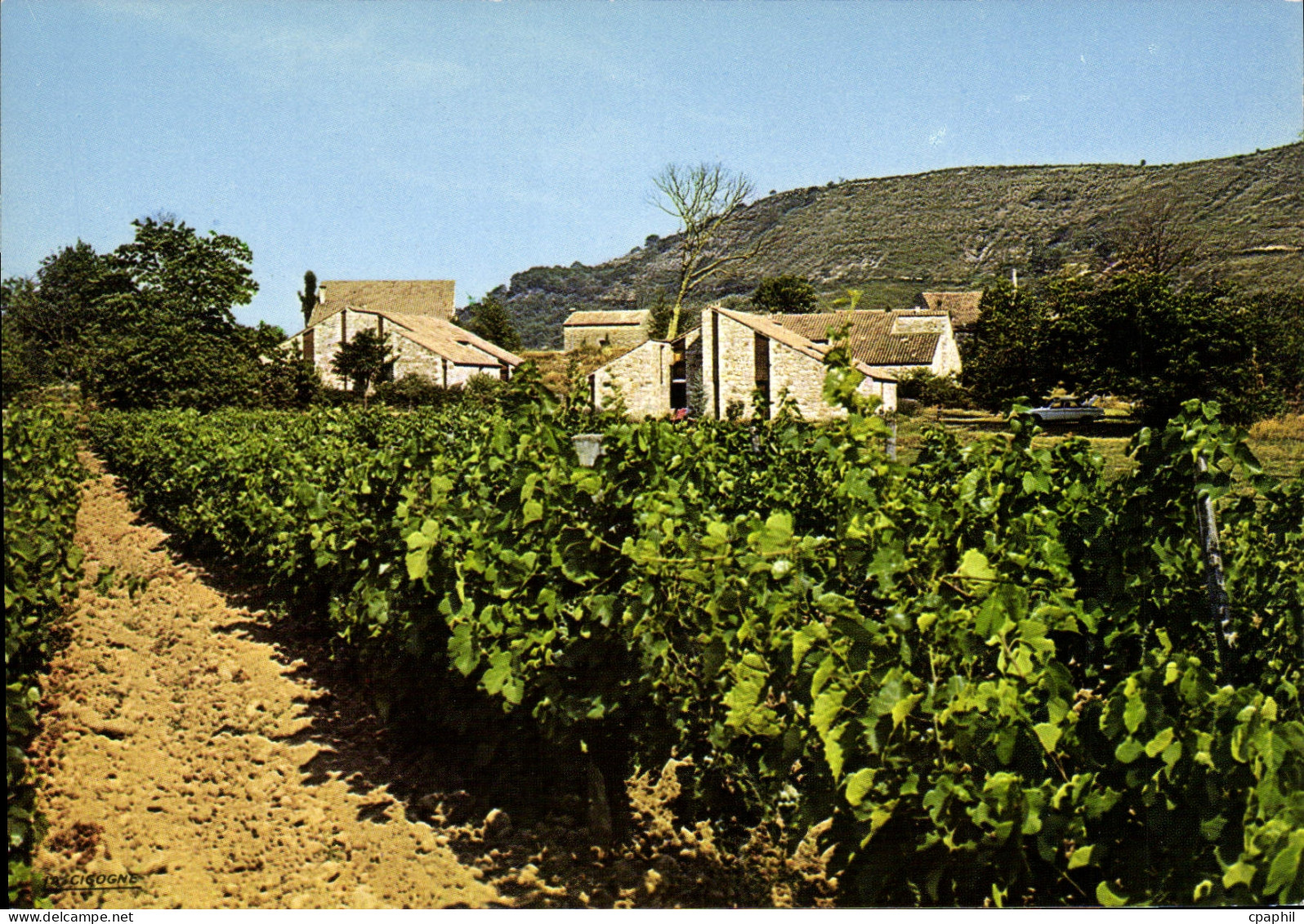 CPA Environs des Vans Chambonas Ardeche